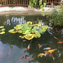 фото из отзыва ID 1752660