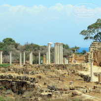 фото из отзыва ID 1752564