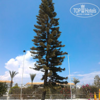 фото из отзыва ID 1753071