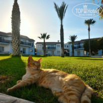 фото из отзыва ID 1753071