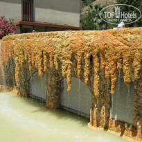 фото из отзыва ID 1753198