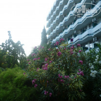 фото из отзыва ID 1753203