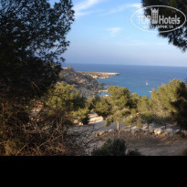 фото из отзыва ID 1753214