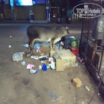 фото из отзыва ID 1753279