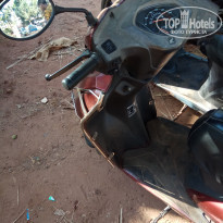 фото из отзыва ID 1753279