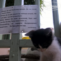 фото из отзыва ID 1753025