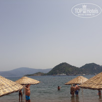 фото из отзыва ID 1753551