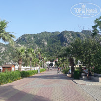 фото из отзыва ID 1753551