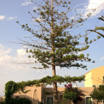 фото из отзыва ID 1753025