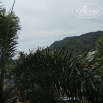 фото из отзыва ID 1753582