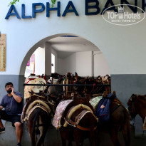 фото из отзыва ID 1753584