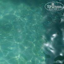 фото из отзыва ID 1753627