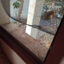 фото из отзыва ID 1753656