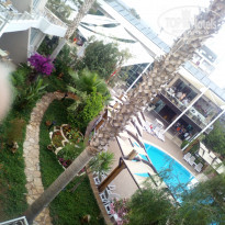 фото из отзыва ID 1753757