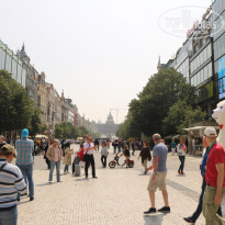 фото из отзыва ID 1753842