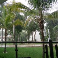 фото из отзыва ID 1753919