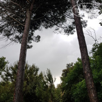 фото из отзыва ID 1753922