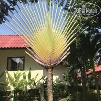 фото из отзыва ID 1753979