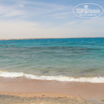 фото из отзыва ID 1754051