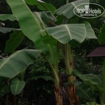 фото из отзыва ID 1753785