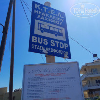 фото из отзыва ID 1754644