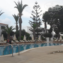 фото из отзыва ID 1754786