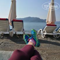 фото из отзыва ID 1754788