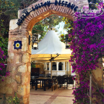 фото из отзыва ID 1755046