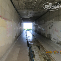 фото из отзыва ID 1755181