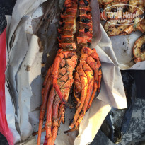 фото из отзыва ID 1755332