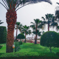 фото из отзыва ID 1755368