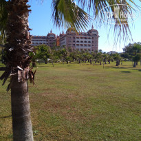 фото из отзыва ID 1755393