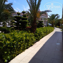 фото из отзыва ID 1755393