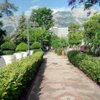 фото из отзыва ID 1755418