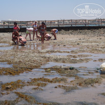 фото из отзыва ID 1755522