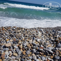 фото из отзыва ID 1755646