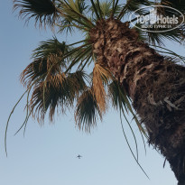 фото из отзыва ID 1755646