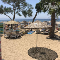 фото из отзыва ID 1755865