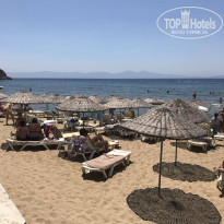 фото из отзыва ID 1755865