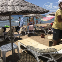 фото из отзыва ID 1755865