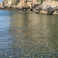 фото из отзыва ID 1755904