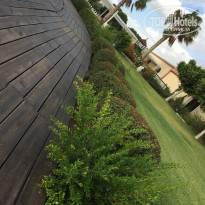 фото из отзыва ID 1755946