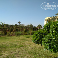 фото из отзыва ID 1754099