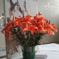 фото из отзыва ID 1754099