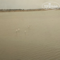 фото из отзыва ID 1754099