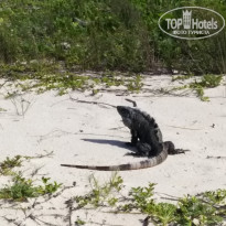 фото из отзыва ID 1753919