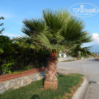 фото из отзыва ID 1756157