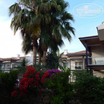 фото из отзыва ID 1756157