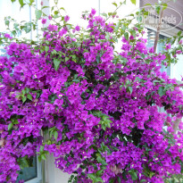 фото из отзыва ID 1756157