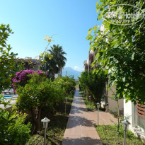 фото из отзыва ID 1756157